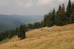 DSC_0075.jpg