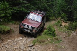 DSC_0105.jpg