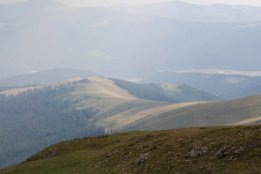 DSC_0207.jpg