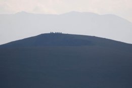 DSC_0213.jpg