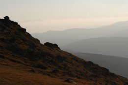 DSC_0229.jpg