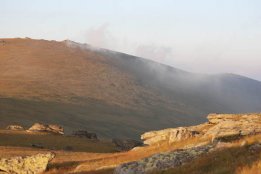 DSC_0250.jpg