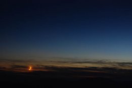 DSC_0265.jpg