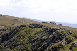 DSC_0327.jpg