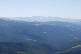 DSC_0369.jpg