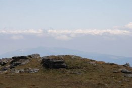 DSC_0393.jpg
