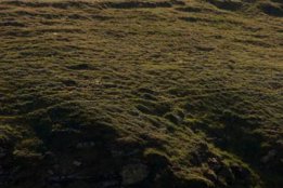 DSC_0417.jpg