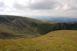DSC_0419.jpg