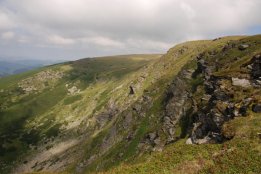 DSC_0420.jpg