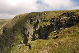 DSC_0422.jpg