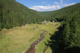 DSC_0438.jpg