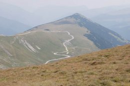 DSC_0483.jpg