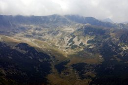 DSC_0510.jpg