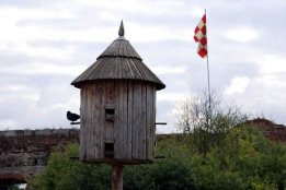 DSC_0905.jpg