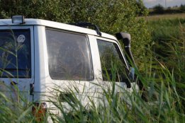 DSC_0955.jpg