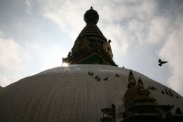IMG_5407.jpg