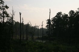 IMG_5941.jpg