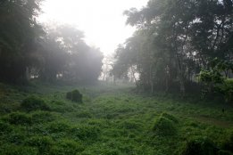 IMG_6208.jpg