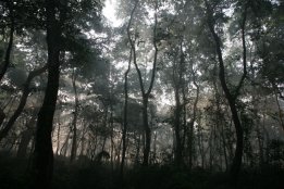 IMG_6347.jpg