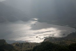 IMG_6630.jpg
