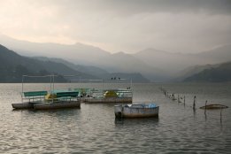 IMG_6731.jpg
