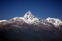 IMG_6913.jpg