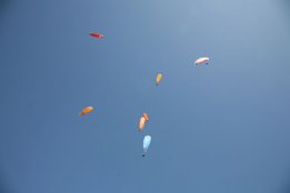 IMG_7037.jpg