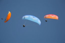 IMG_7040.jpg