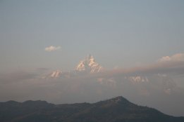 IMG_7208.jpg