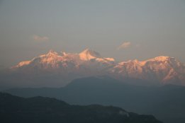 IMG_7232.jpg
