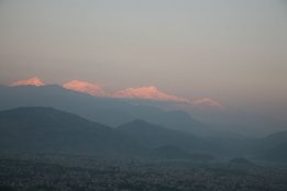 IMG_7238.jpg