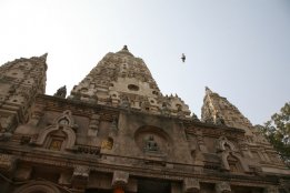 IMG_7935.jpg