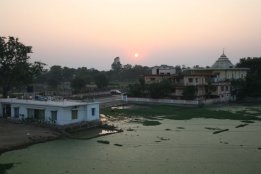 IMG_8077.jpg