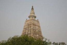 IMG_8556.jpg