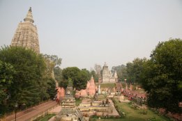 IMG_8558.jpg