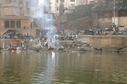 IMG_8904.jpg