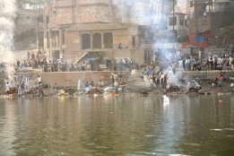 IMG_8905.jpg
