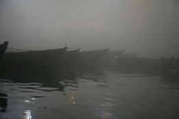 IMG_8950.jpg