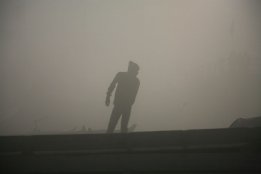 IMG_8957.jpg