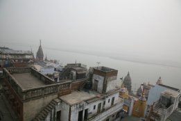 IMG_8979.jpg