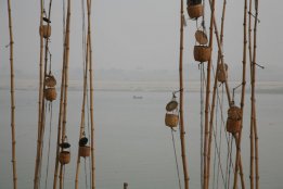 IMG_8999.jpg