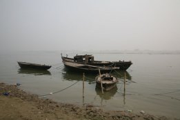 IMG_9022.jpg