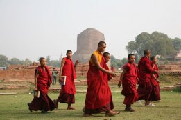 IMG_9330.jpg