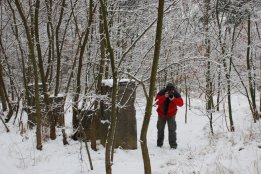 DSC_0384.jpg