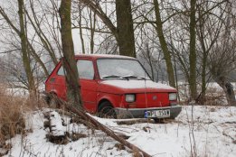 DSC_0398.jpg