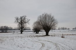 DSC_0400.jpg
