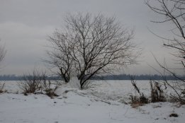 DSC_0409.jpg