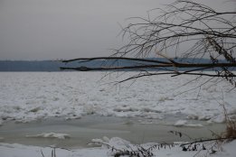 DSC_0411.jpg