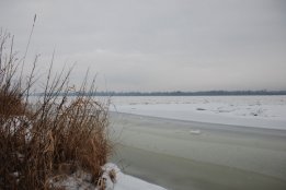 DSC_0418.jpg