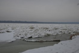 DSC_0434.jpg